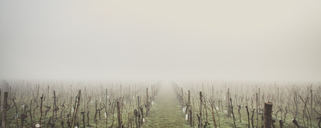 The Vineyard and it’s&nbsp;Master